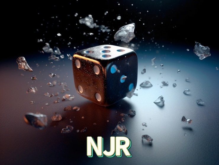 NJR FAQ — perguntas frequentes usuários Brasil