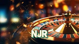 FAQ NJR — central de ajuda e suporte oficial Brasil