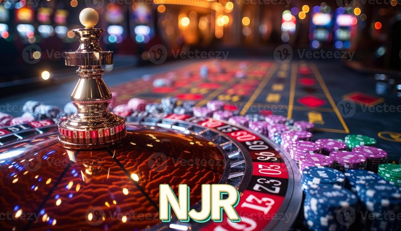 Recursos Exclusivos do App NJR - Modo Offline, Login Biométrico